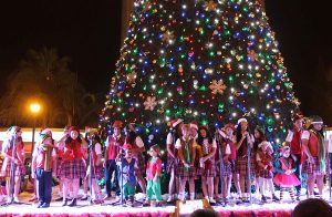 Babahoyo no encenderá el gigantesco árbol de navidad este año ALDIA