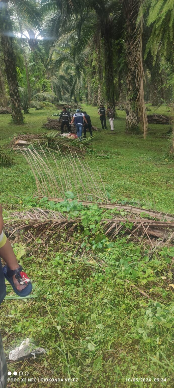 Hallazgo Macabro En BuenaFe Encuentran Cabeza Humana Y Cuerpo Sin Vida