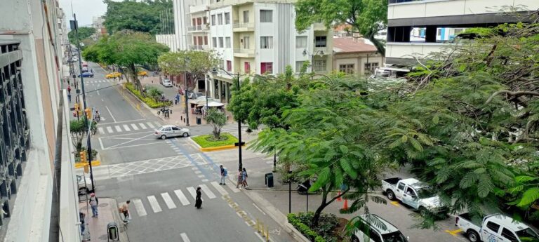 Bajo flujo vehicular y peatonal en Guayaquil