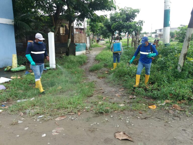 Fumigación municipal llega a barrios urbanos y rurales