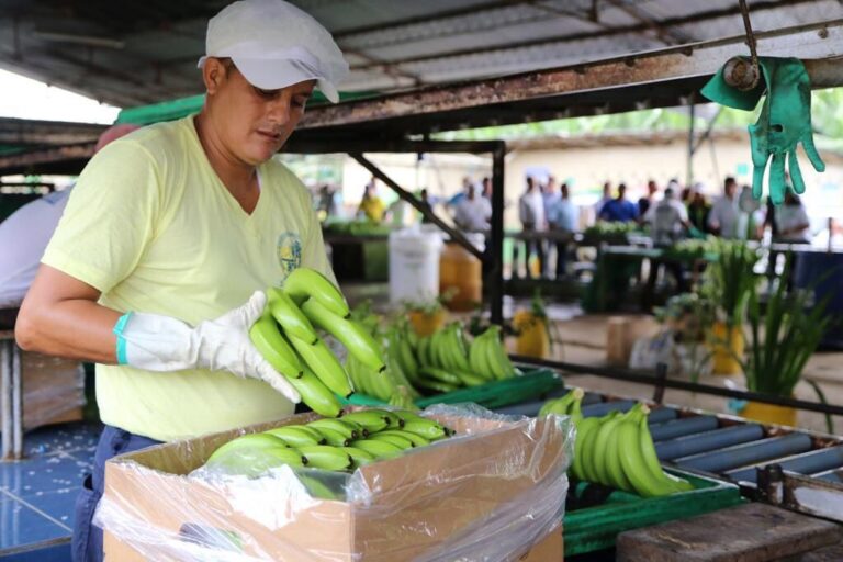 MAG  sancionará a quienes no paguen el precio mínimo de sustentación 