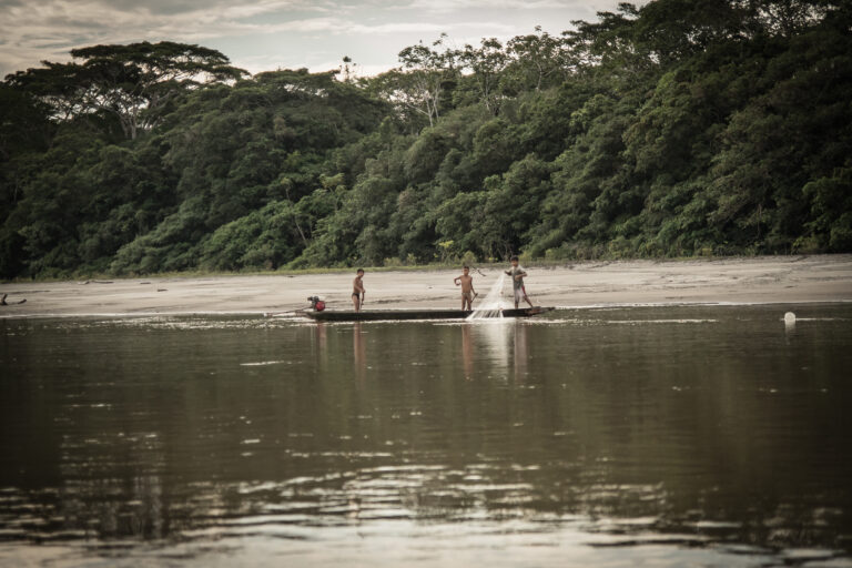 América Latina confirma acelerada tendencia en pérdida de biodiversidad