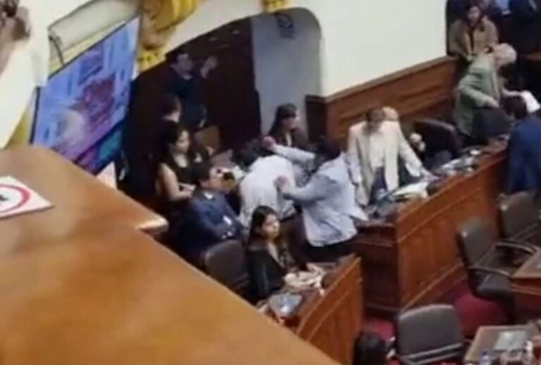 Diputados peruanos se golpean en el congreso