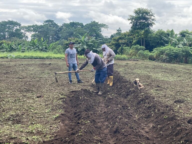 Huertos familiares se desarrolla con las familias quevedeñas