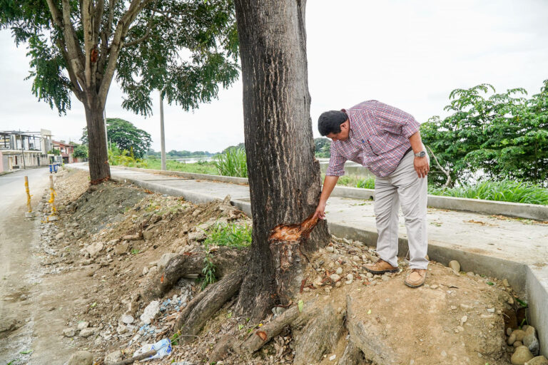 El alcalde de Babahoyo denuncia daños en la fauna y flora del malecón de la ciudad