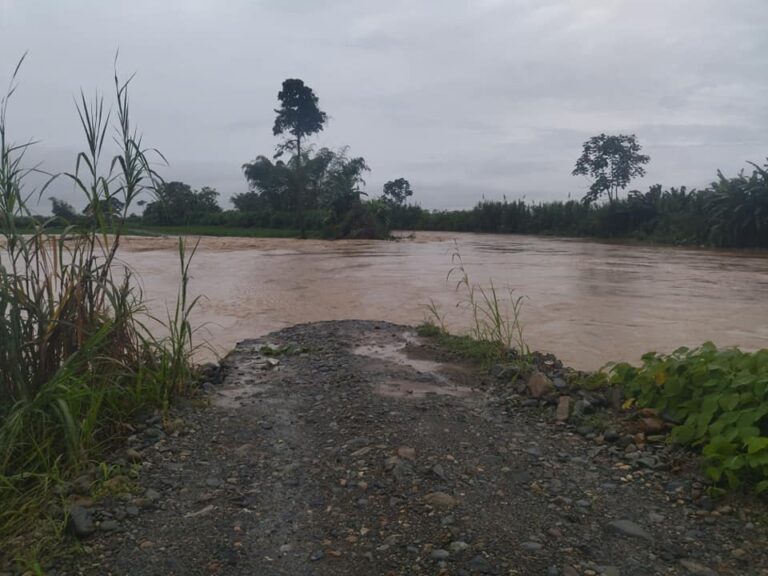 Desbordamiento del río Santa Rosa afectó a los agricultores del recinto La Maravilla