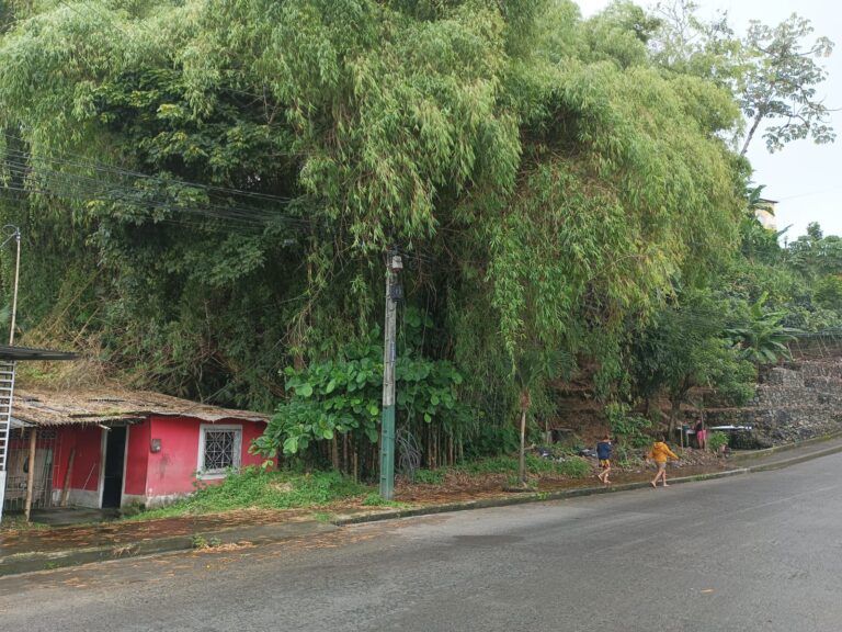 Habitantes de la Loma San Pedro en Quevedo piden atención urgente