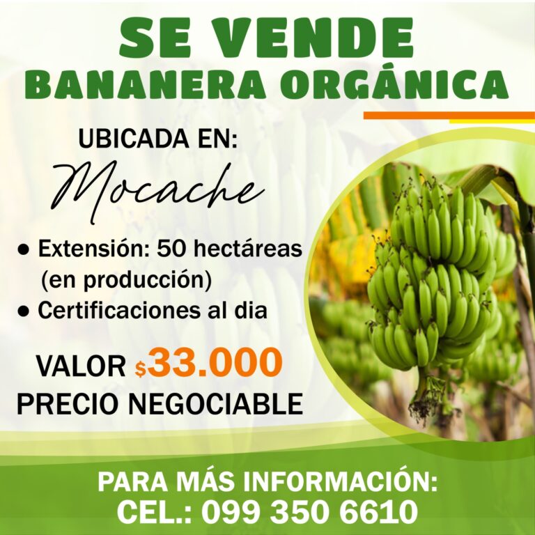 SE VENDE BANANERA ORGANICA