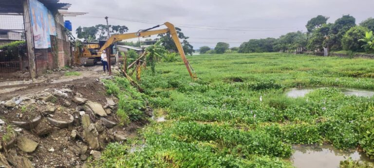 Lechuguines de La Chorrera son removidos en Babahoyo por la Prefectura de Los Ríos