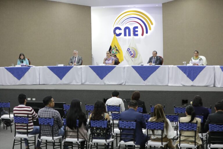 CNE califica candidatura presidencial del Movimiento Construye con Zurita