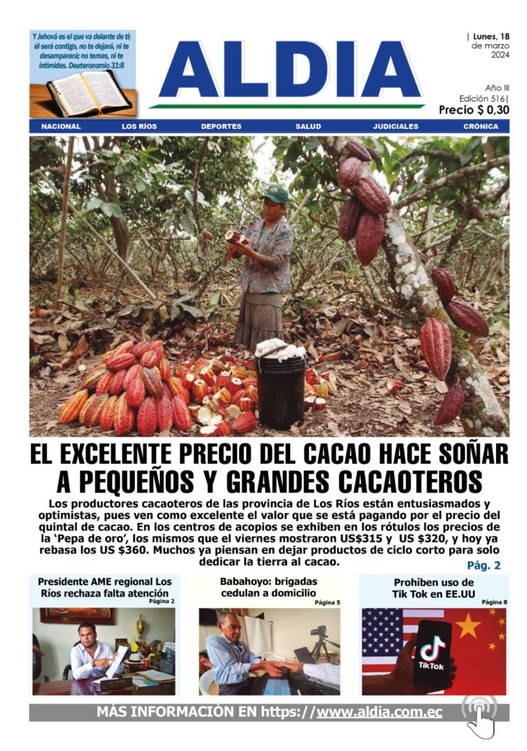 Edición 18 de marzo 2024, Precio del cacao se dispara a $360 en Ecuador