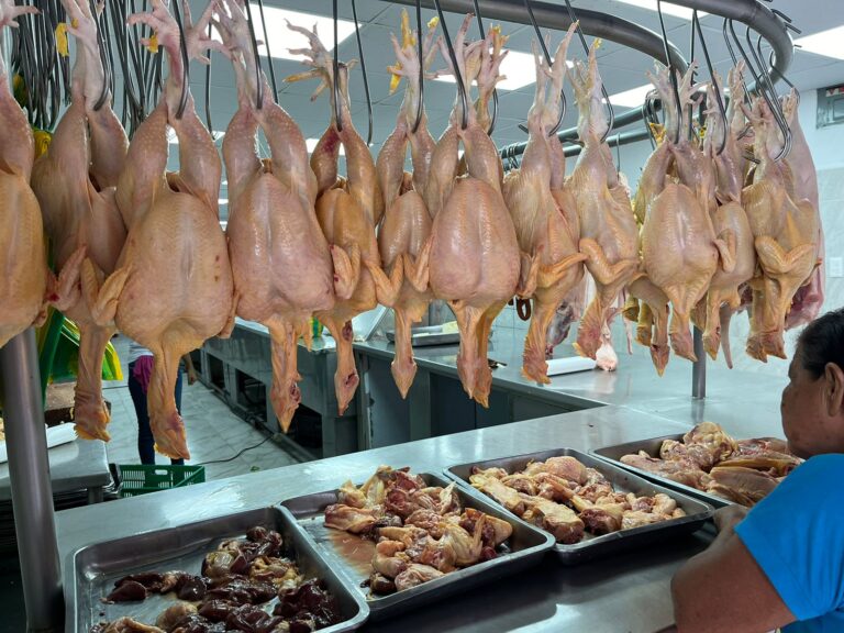 20 dólares ya no alcanzan para hacer compras, precio de pollo sube y nadie controla