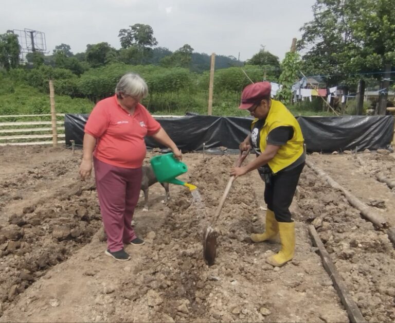 Municipio de Quevedo promueve la creación de huertos orgánicos