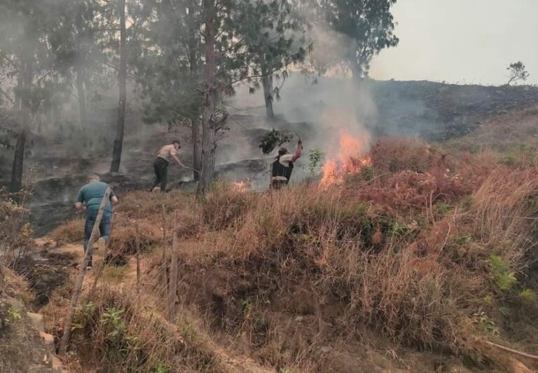 Incendios forestales: Jefe de Bomberos de Quevedo da algunas recomendaciones 