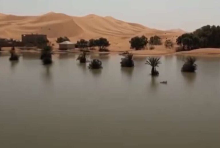 Inundaciones sin precedentes en el desierto del Sáhara tras 50 años